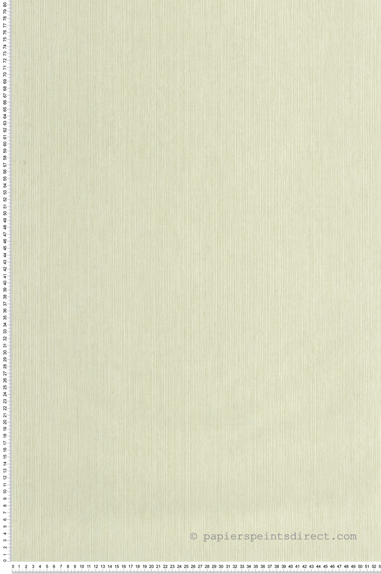 Papier peint Sisal Fibre vert pâle - Borneo de Casélio | Réf. BORN106017300