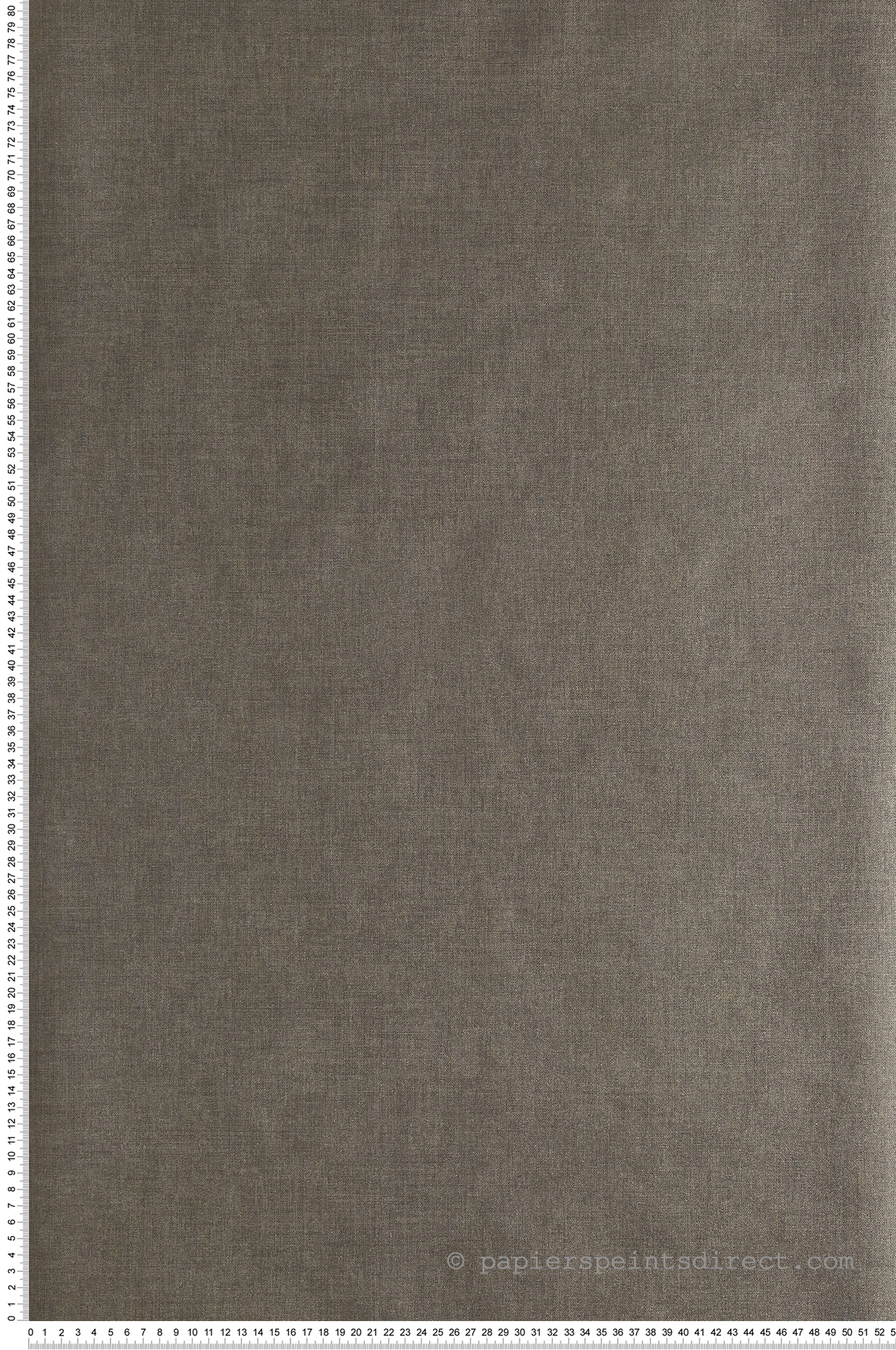 Papier peint Uni gris souris doré - Moonlight de Casélio | Réf. MLG68529627