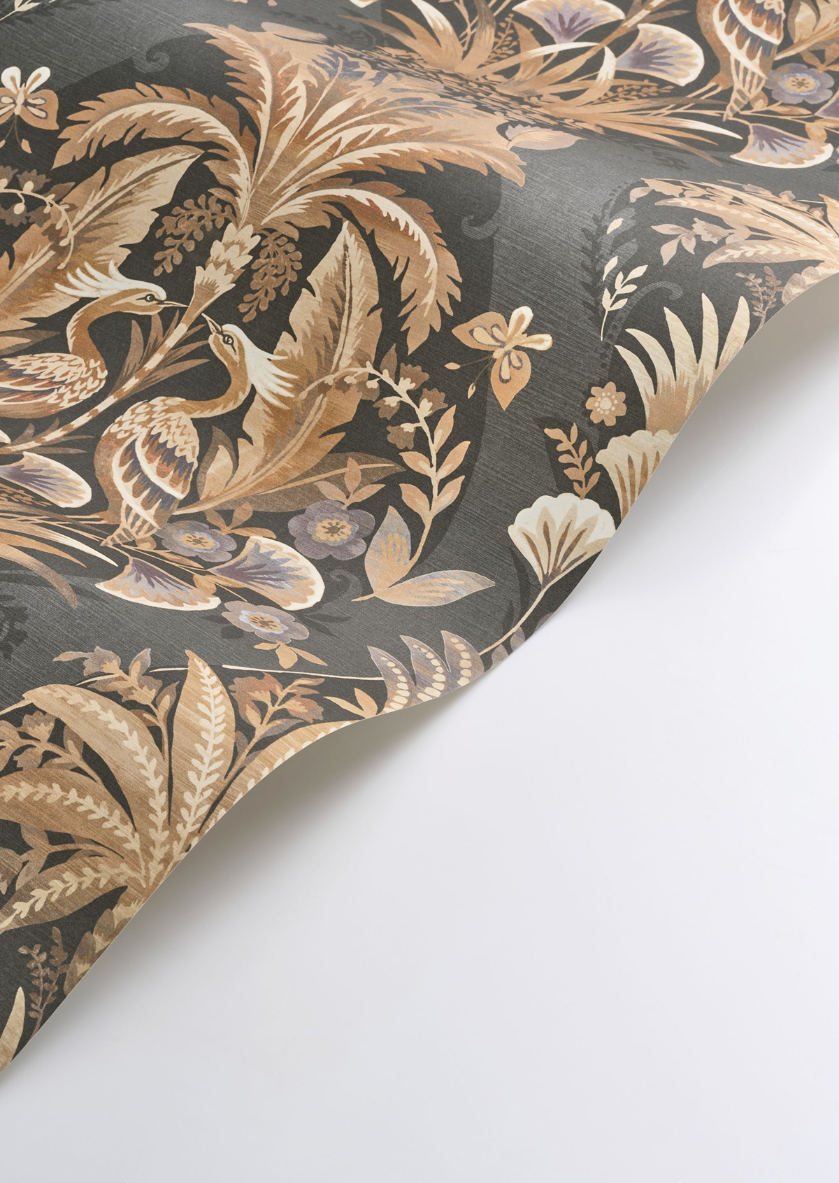 Papier peint Baroque Oiseau Whisper noir fusain - Heritage de Casadéco AMBV | Réf. HETA201229411