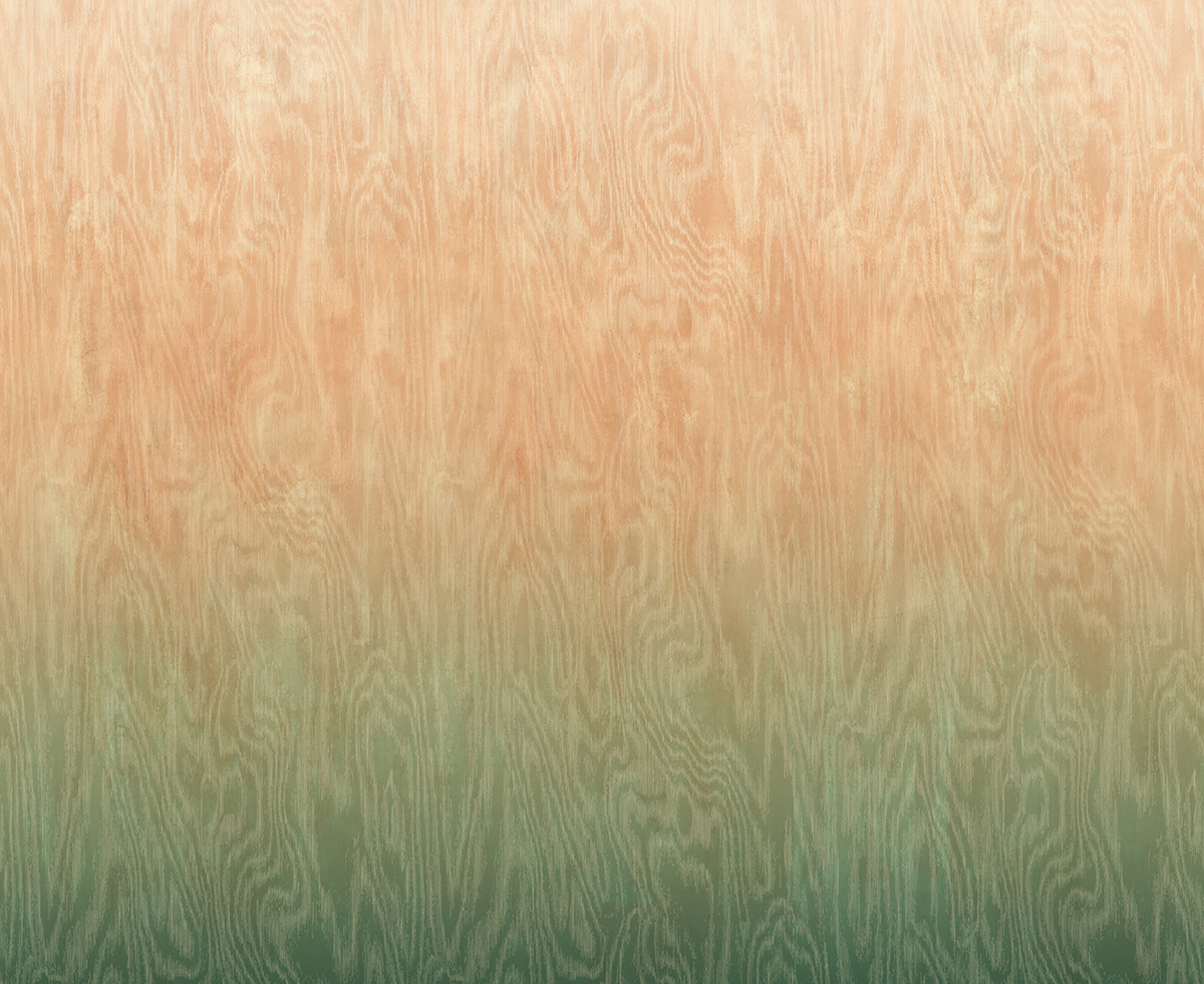 Papier peint panoramique Dégradé Moiré Bois corail vert - A, B et C H260 - Wall Designs IV de Masureel | Réf. MAS-DG4MOI108X-260