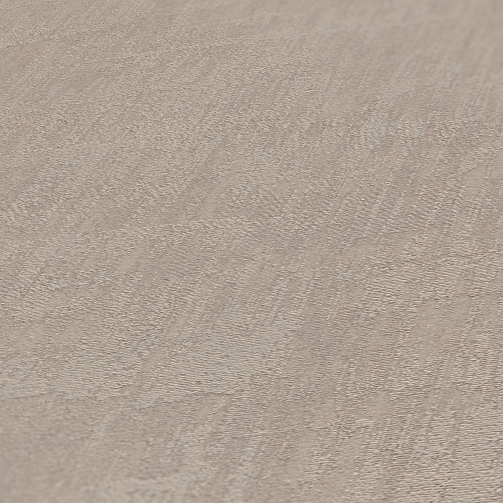 Papier peint Uni Texture Expansée gris - Jade 2 d'A.S. Création AMB4 | Réf. AS-395032