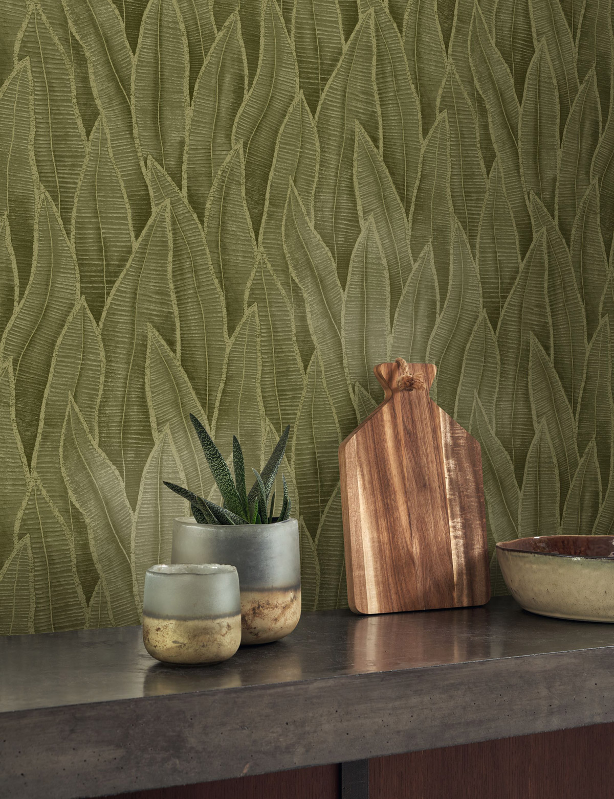 Papier peint Nature Feuille Sansevieria vert mousse - Rio de Casadéco | Réf. RIOC201837807