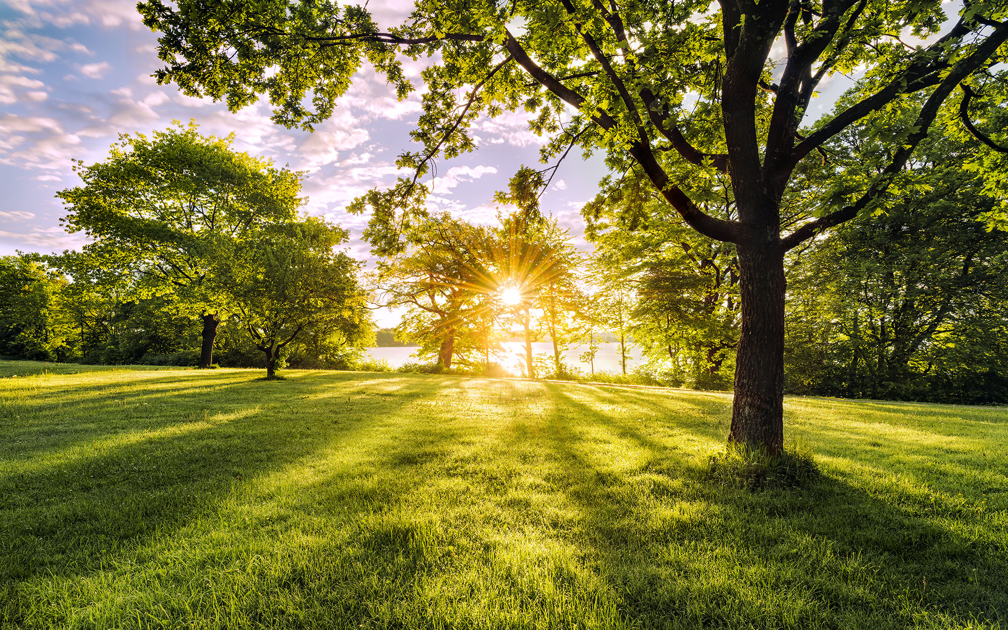 Panoramique Golden Moment - Papier peint Komar