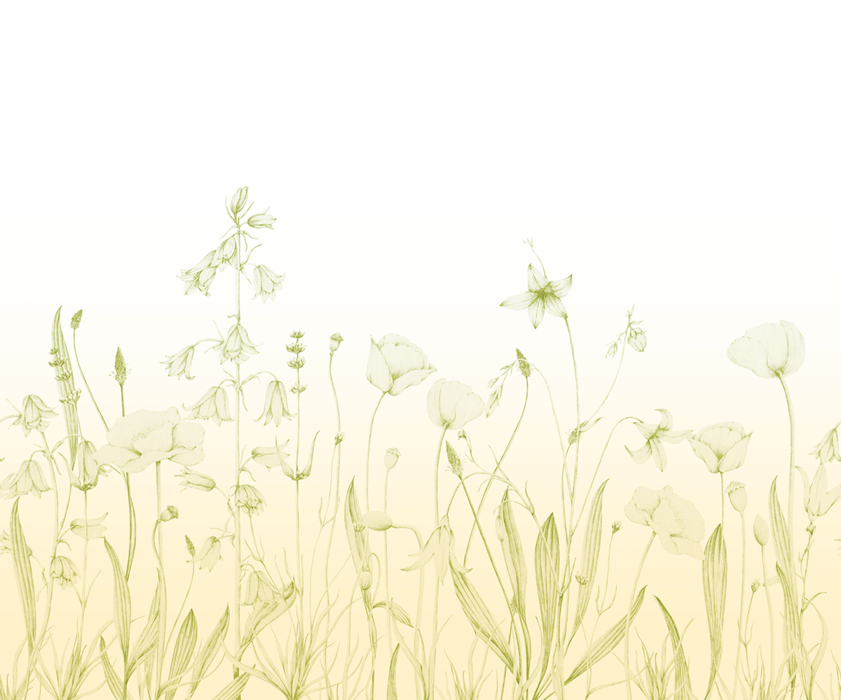 Papier peint panoramique Floral Promenade Bucolique S lime 300X250 - Wonderwalls 2 de Casadéco | Réf. WDWD200167307