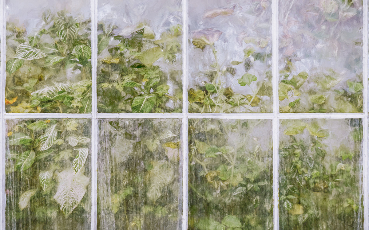 Papier peint panoramique Verrière Secret Stash vert - Papier Peint Komar Infinity 2