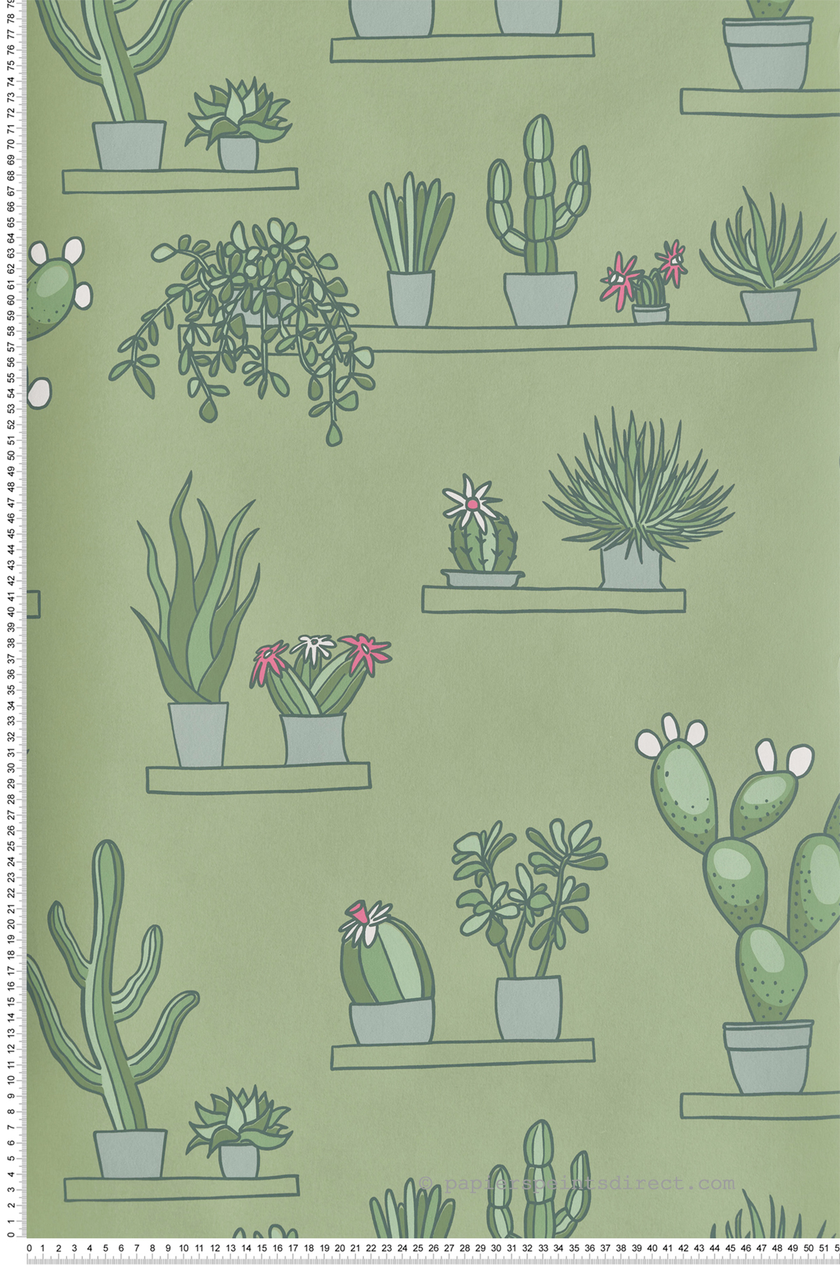 Papier peint Cactus Mr Straw's Greenhouse Garden - In The Garden de Little Greene | Réf. 0234SGGARDE
