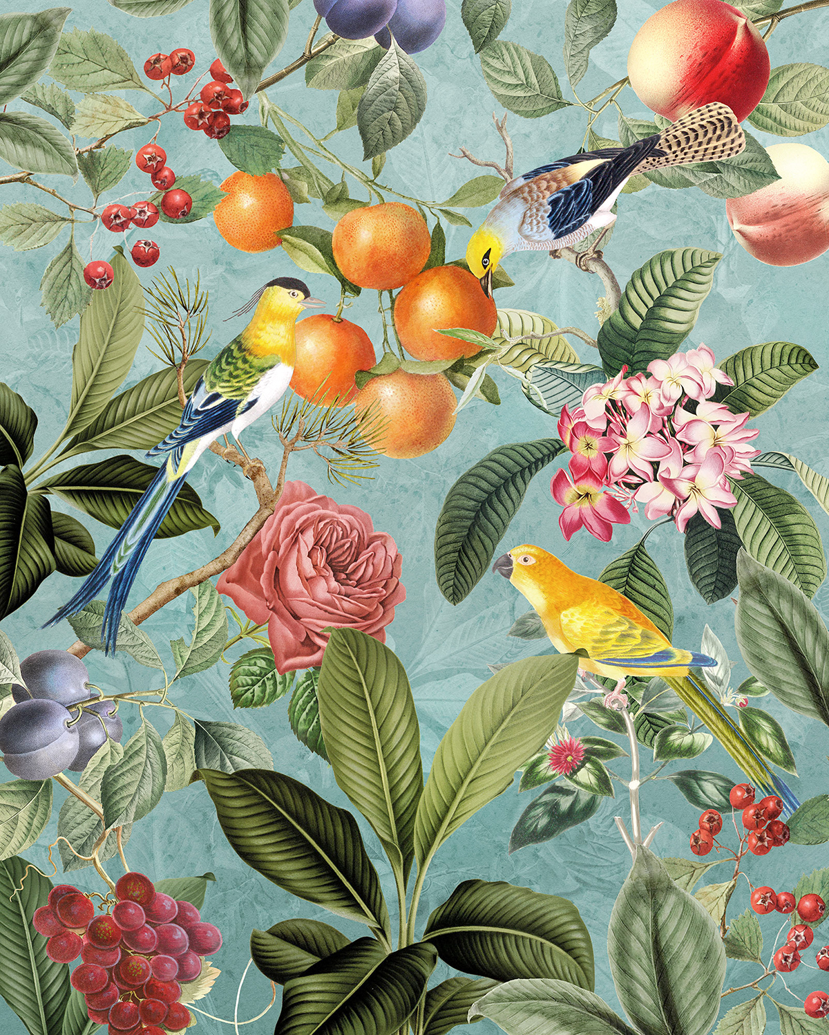 Papier peint panoramique Oiseaux et Baies Birds and Berries - Papier peint Komar Le Jardin