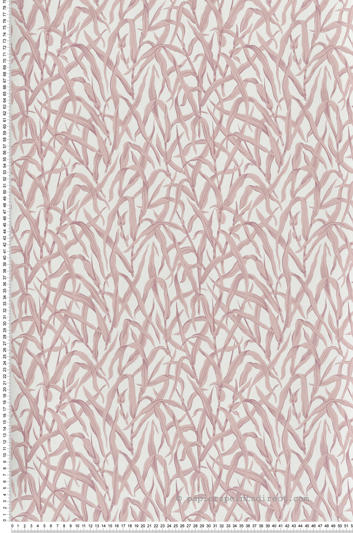 Papier peint Feuilles Ornamental Grasses rose - V&A Decorative Papers III d'Initiales | Réf. INI-2513-185-03