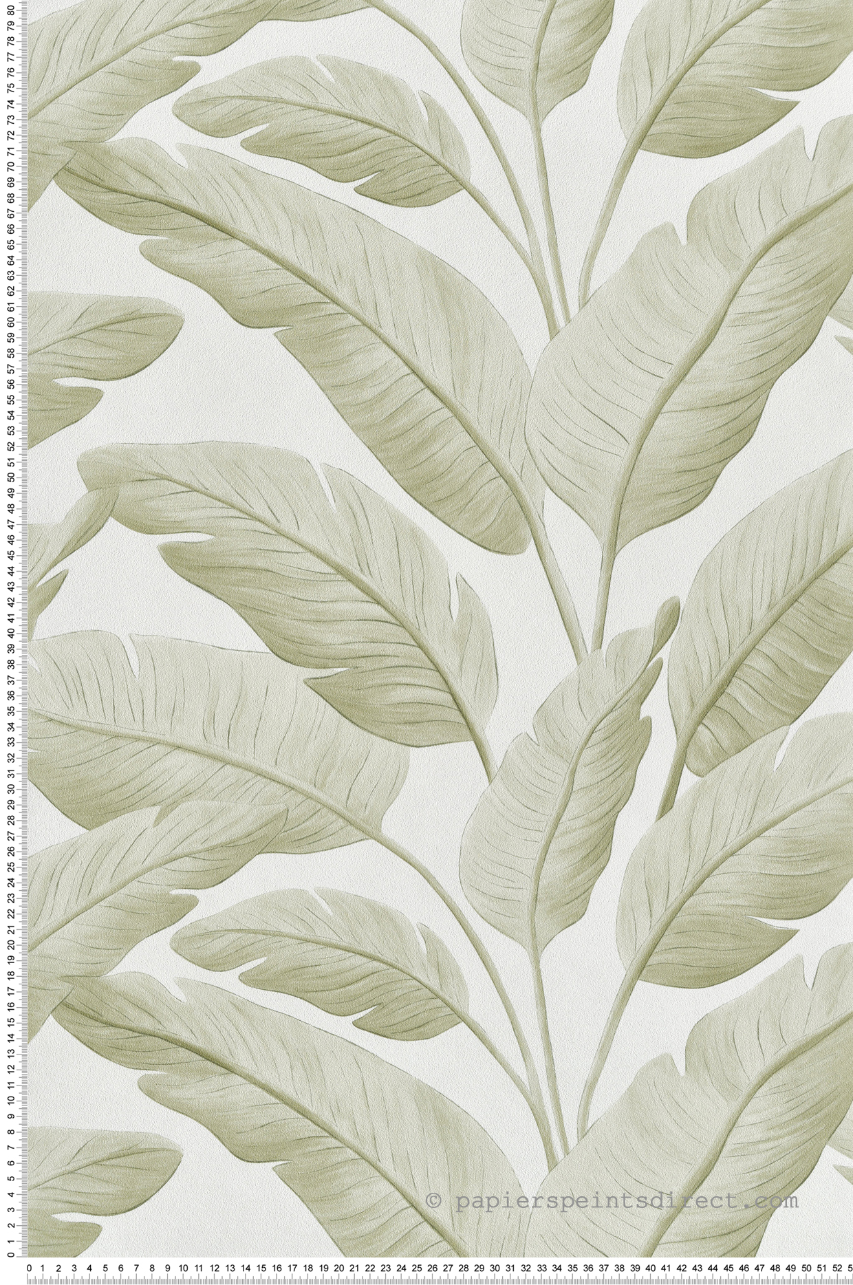 Papier peint Palmes Bananier Tropicalia vert amande - Borneo de Casélio | Réf. BORN106547003