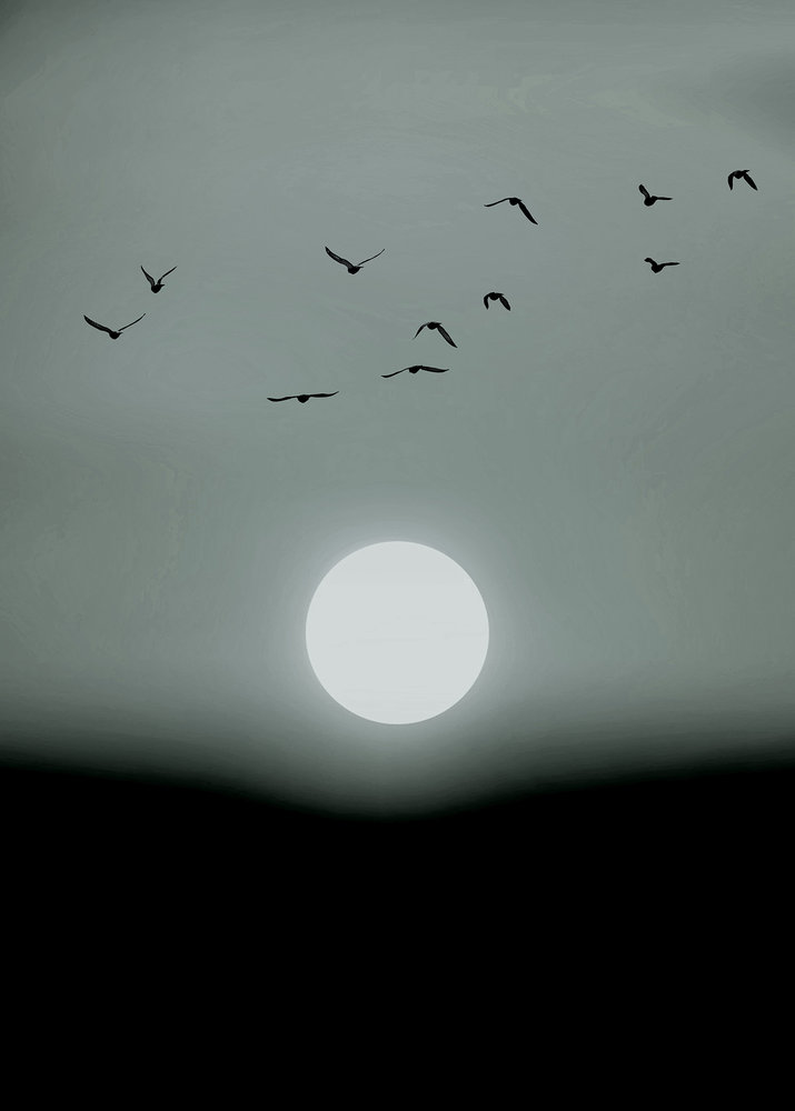 Papier peint panoramique Oiseaux Winter Lights - Référence DD119929 - Intissé 200g/m2 - Standard 200 x 280