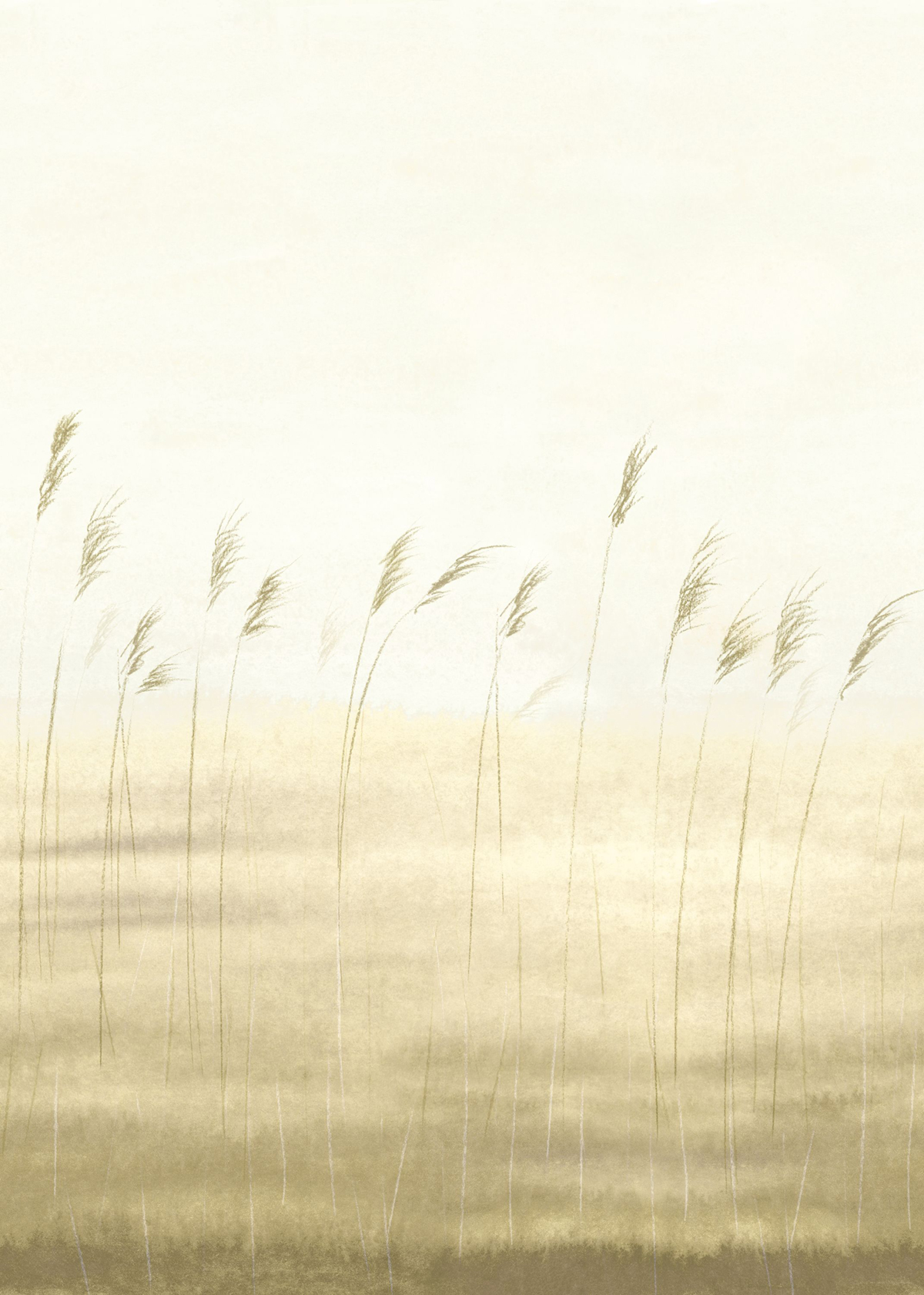 Papier peint panoramique Végétaux Jonc des Dunes M beige 200X280 - Sentier des Dunes de Casadéco | Réf. SENT200082703