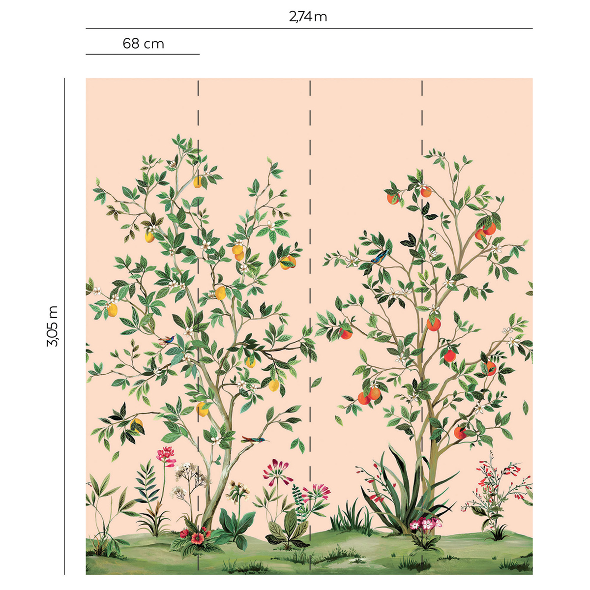 Papier peint panoramique Plantation d'Agrume rose - Daisy Bennett d'Initiales AMBR | Réf. INI-DB30301M