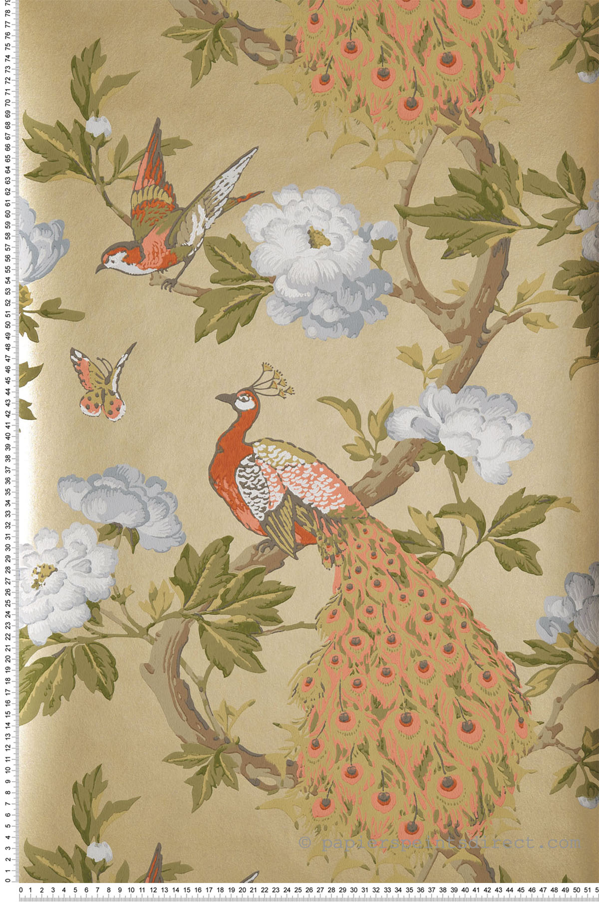 Papier peint vintage paon Pavona Gina - National Trust Papers de Little Greene | Réf. 0245PAGINAZ