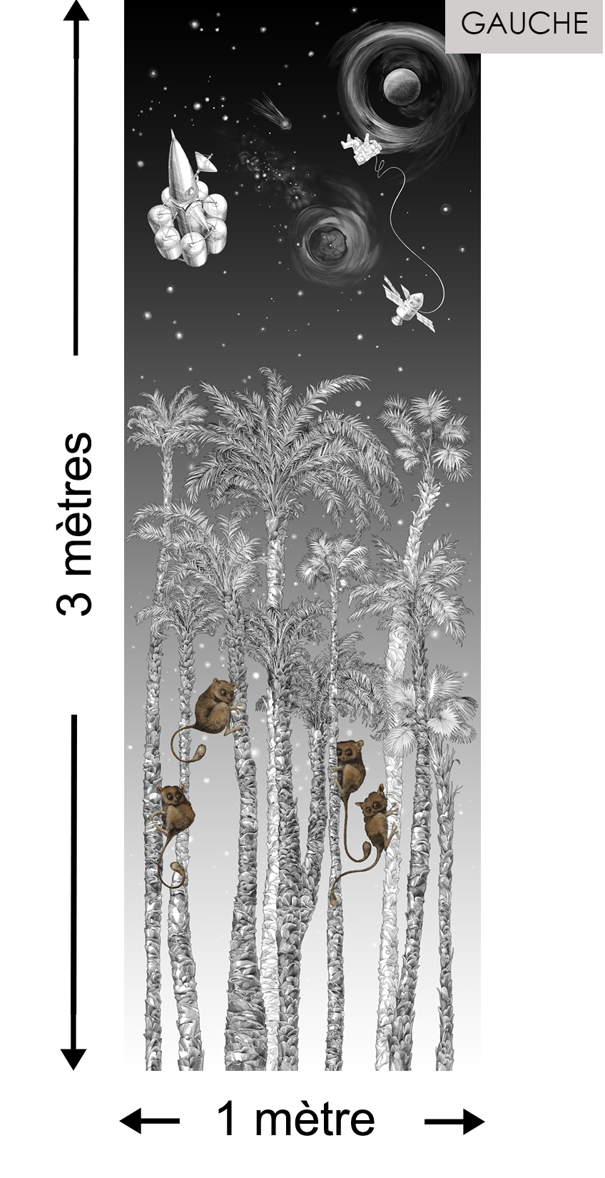 Nuit Cosmique DROITE Noir & Blanc - Collection Catherine Gran de Edmond Petit