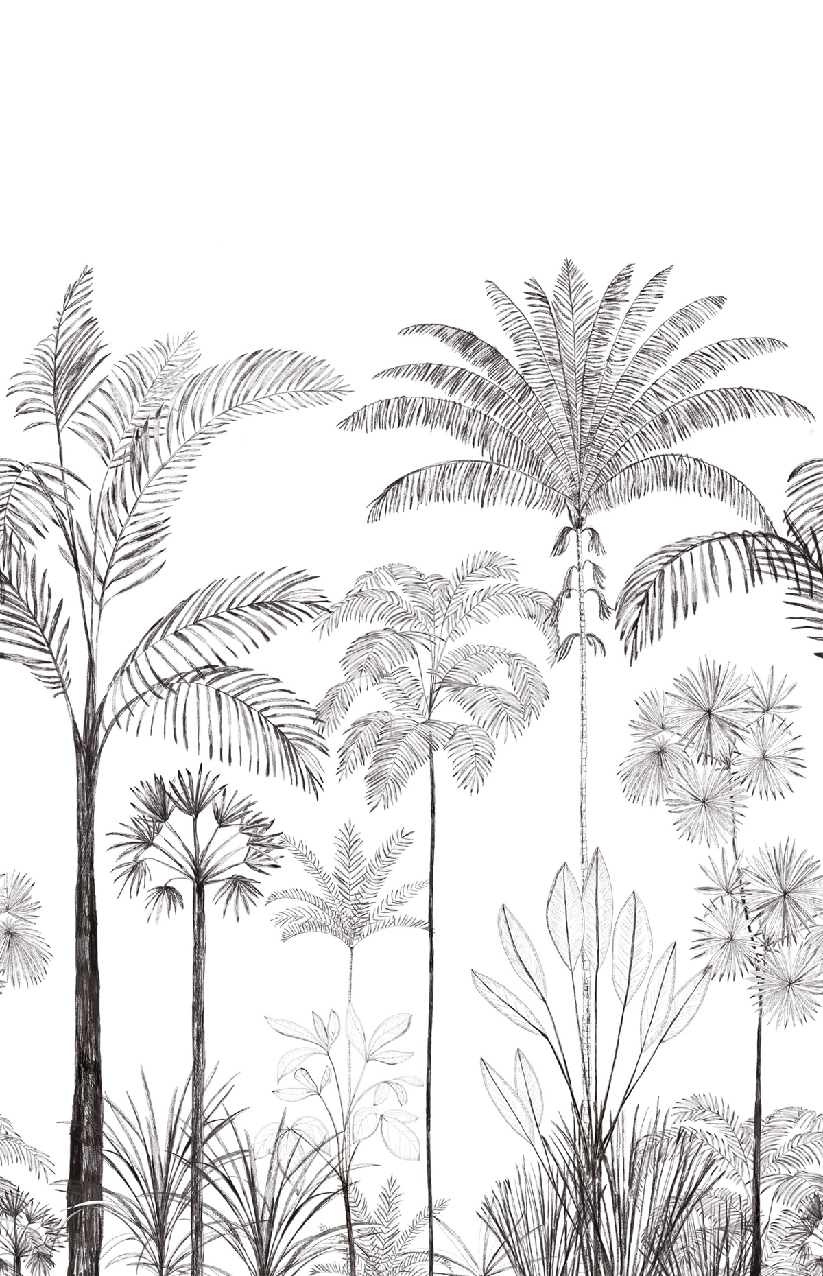 Papier peint panoramique Jungle Sao Paulo noir blanc 200X310 - Color Box 3 de Casélio | Réf. CB3105919104