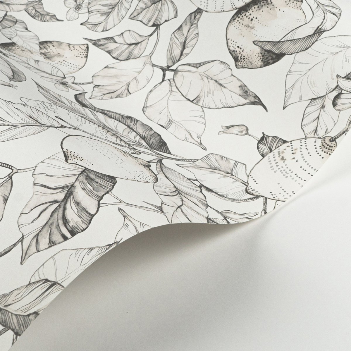 Papier peint Citronnier Contemporain gris fusain blanc - Soliflore de Casadéco AMBV | Réf. SOLI200270900