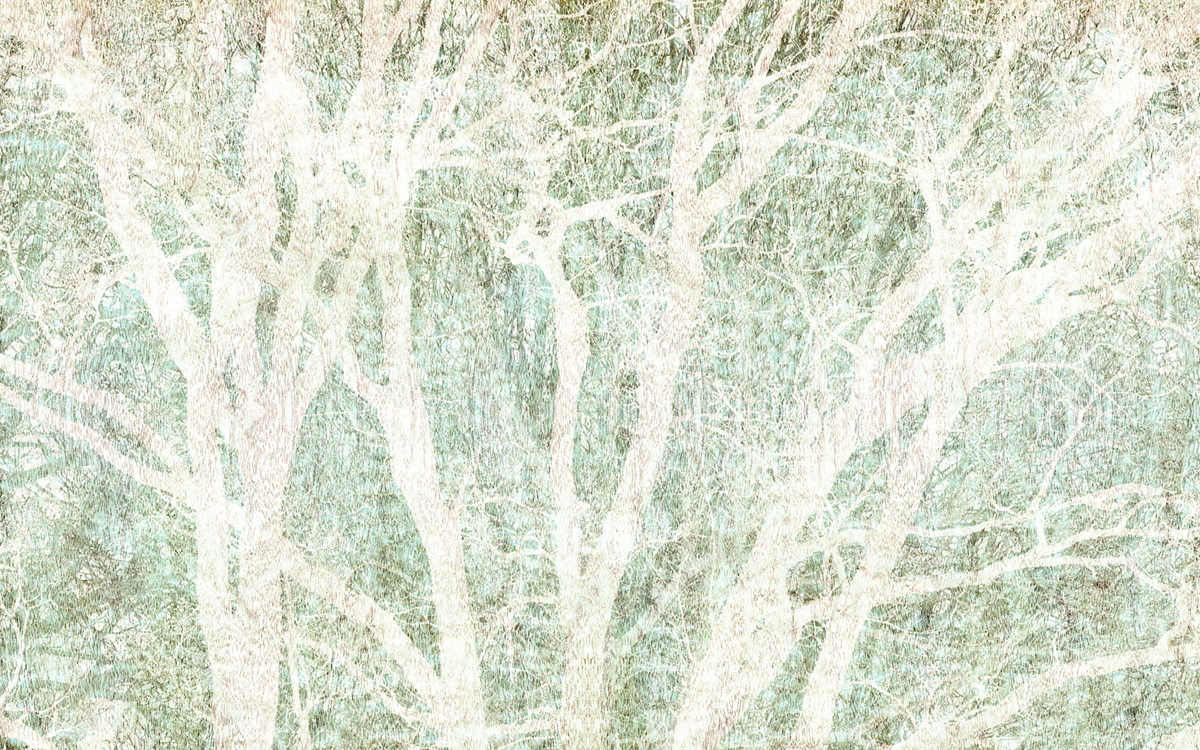 Papier peint panoramique Forêt Abstrait Peaceful Place vert beige - Papier Peint Komar Infinity 2