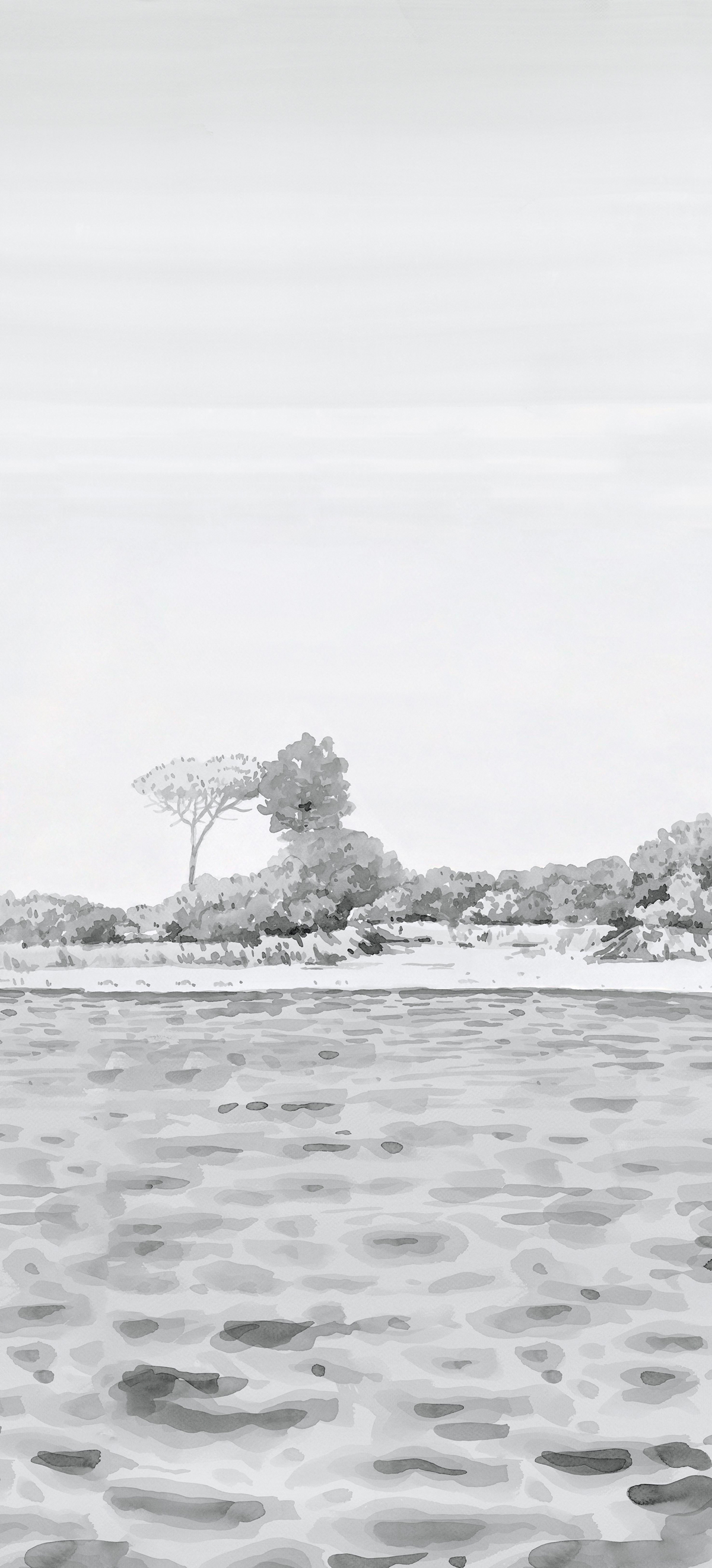Papier peint panoramique Rivage Gris C - 7/8/9 - Isidore Leroy
