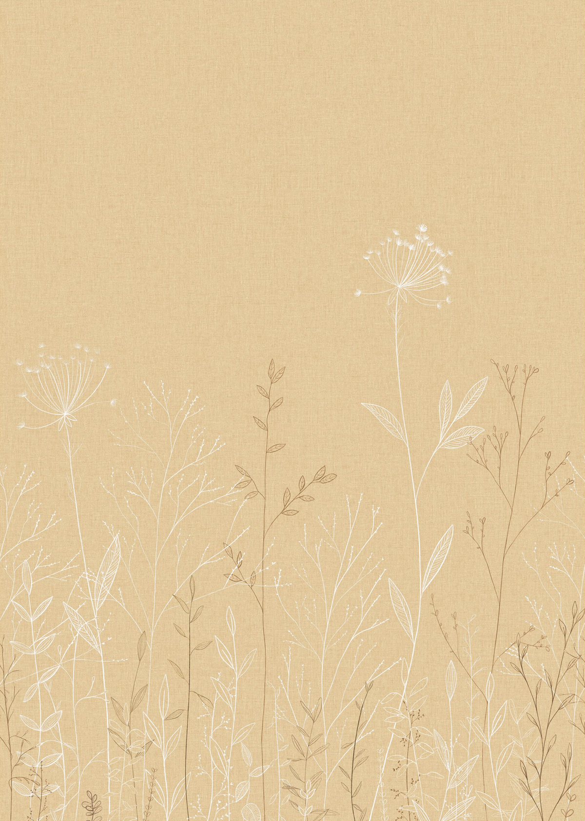 Papier peint Panoramique Prairie Field Line beige 200X280 - Moonlight 3 de Casélio | Réf. MNL3107221003