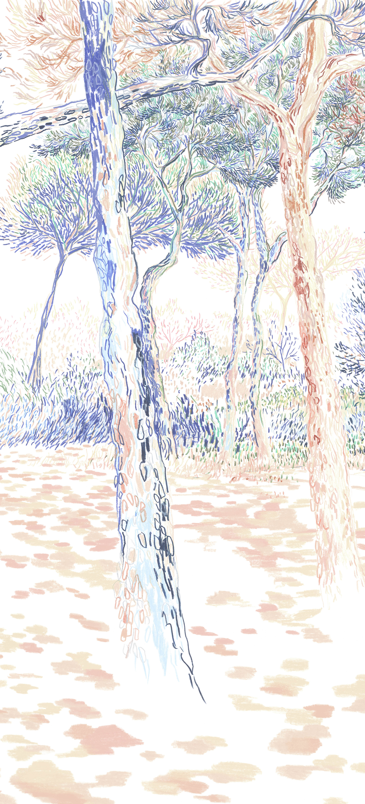 Papier peint panoramique Balade sous les pins Original A - 1/2/3 - Isidore Leroy