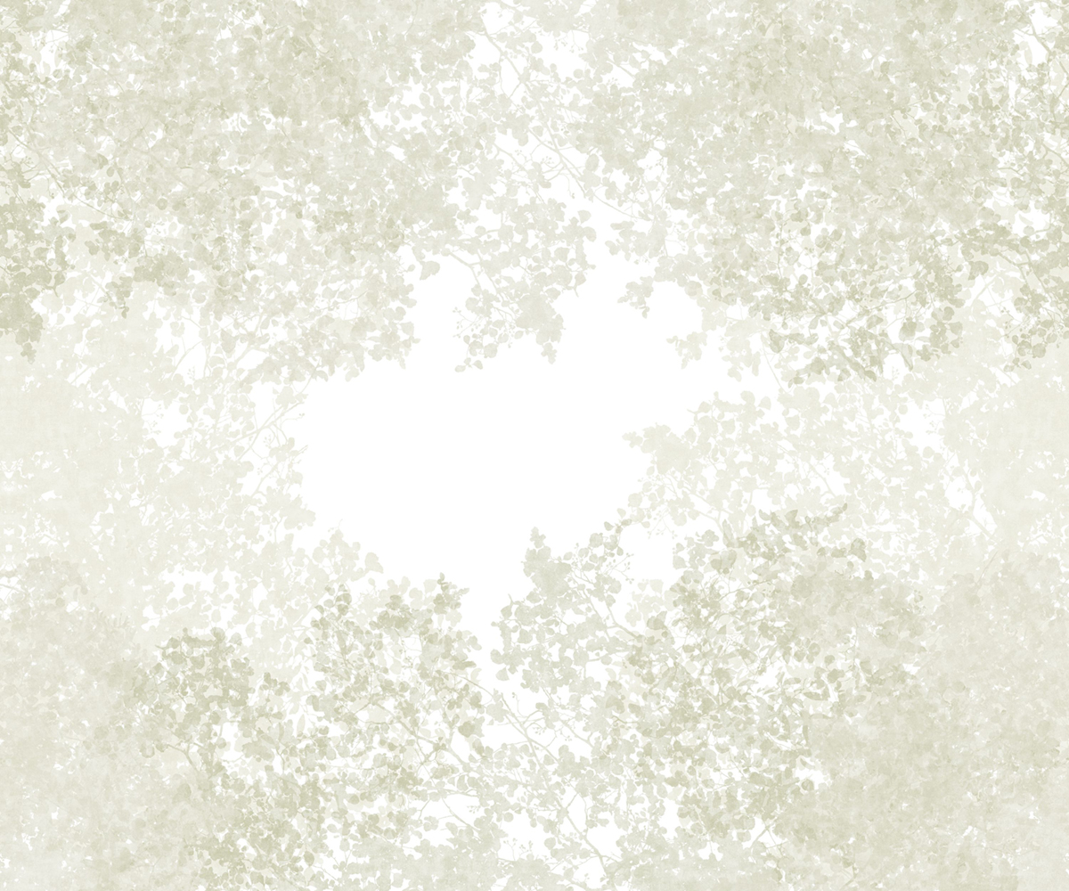 Papier peint panoramique Végétaux Chemin des Cimes S vert lichen 300X250 - Wonderwalls 2 de Casadéco | Réf. WDWD200137207