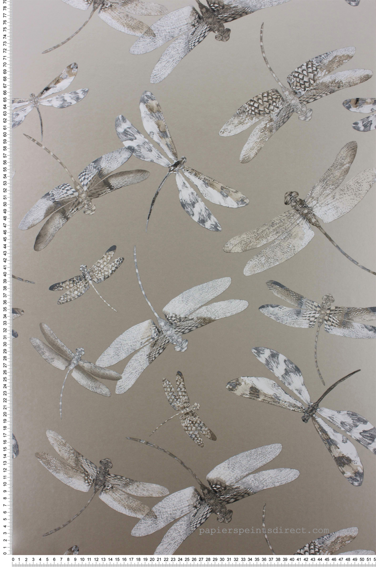 Papier peint Nature Libellule gris et doré - The Wallpaper Collection de Matthew Williamson | Réf. OSB-W6650-06