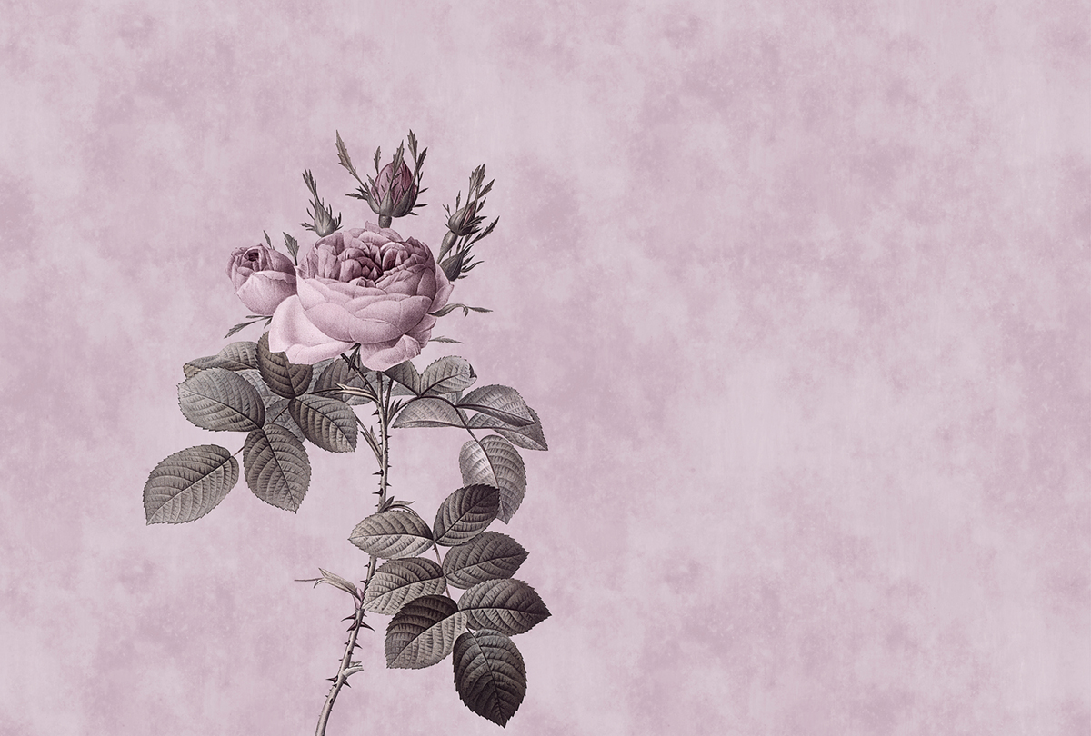 Papier peint panoramique Fleurs Rose 1 - Référence DD110741 - Intissé 200g/m2 - Standard 400 x 270