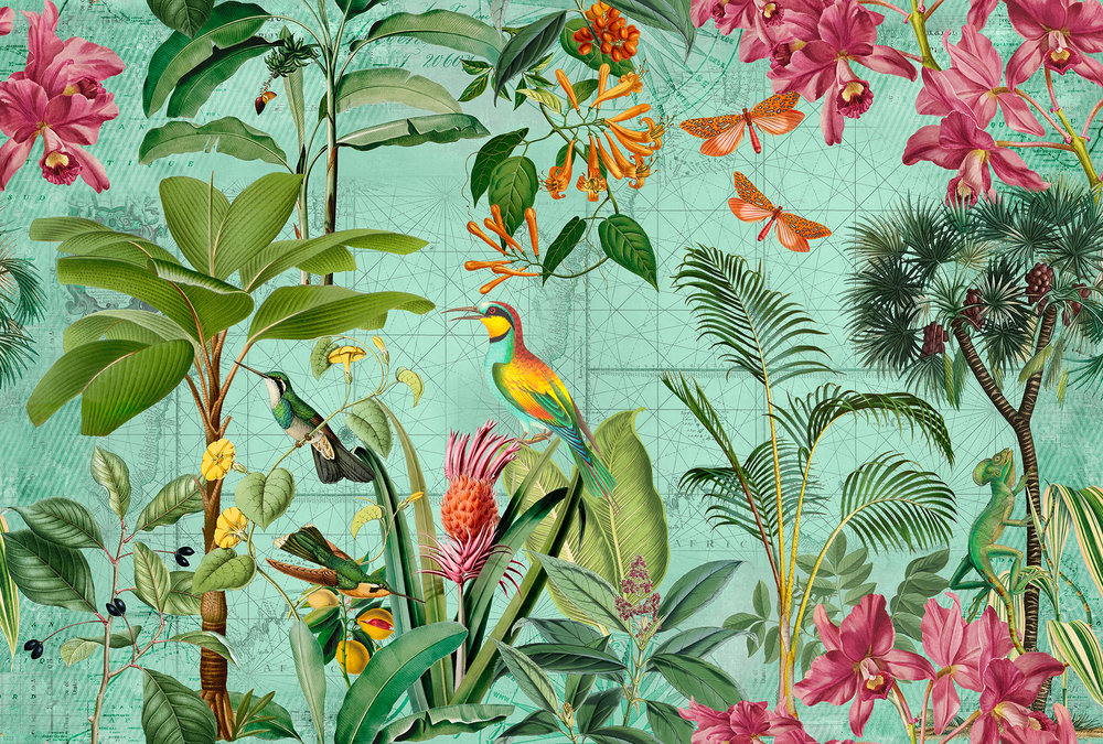 Papier peint panoramique Oiseaux Tropical Paradise 1 - Référence DD119701 - Intissé 200g/m2 - Standard 400 x 270
