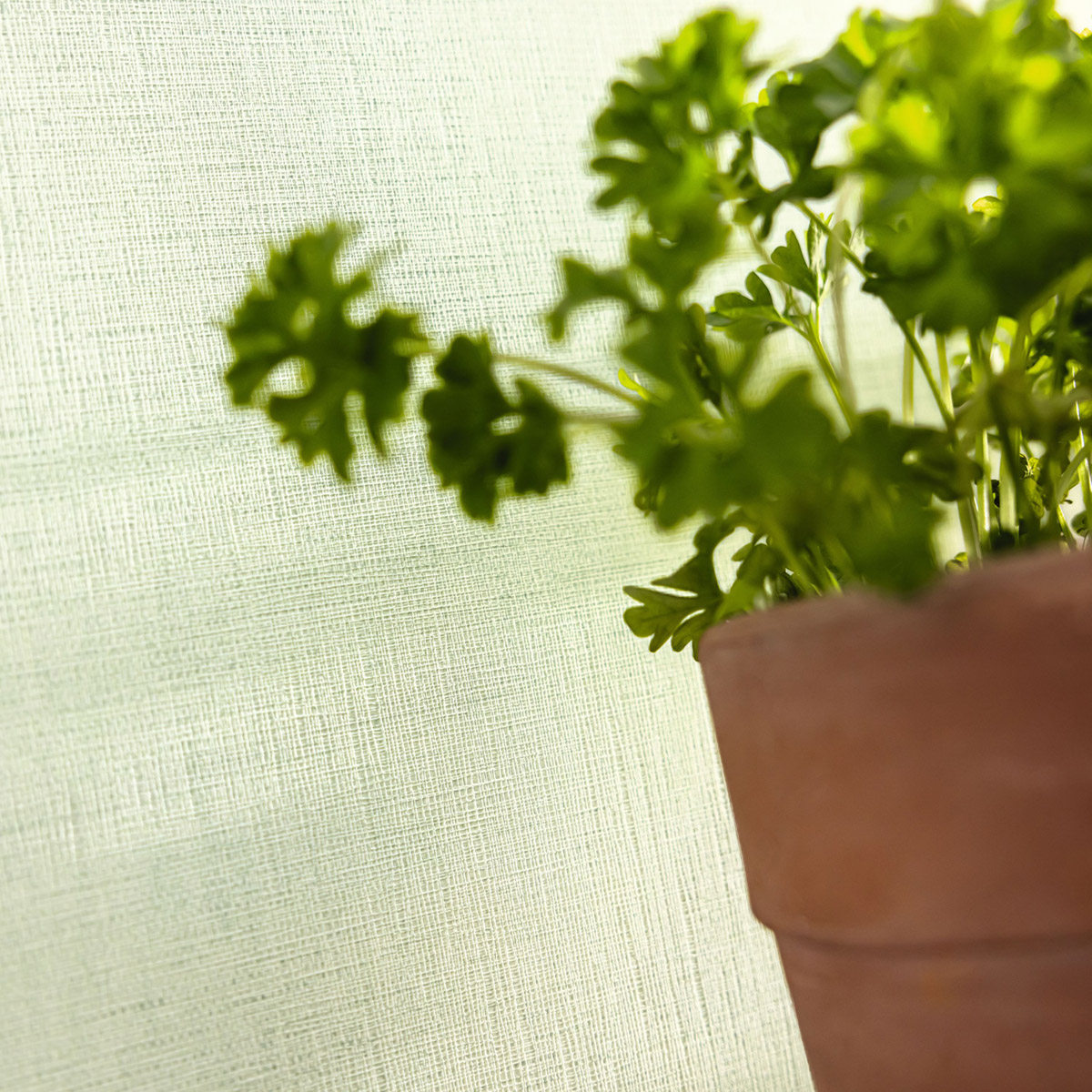 Papier peint Faux Uni Tissage vert pâle - Line Up de Casélio | Réf. LNP103227603