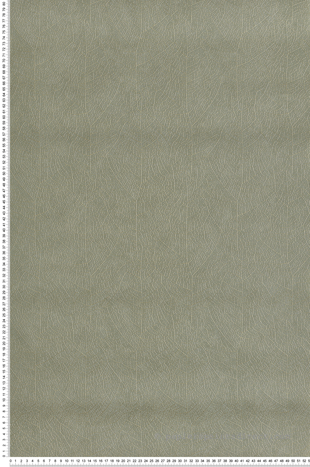 Papier peint Feuille Nervure Nola vert sauge - Vegetals de Casadéco | Réf. VEGE201287373