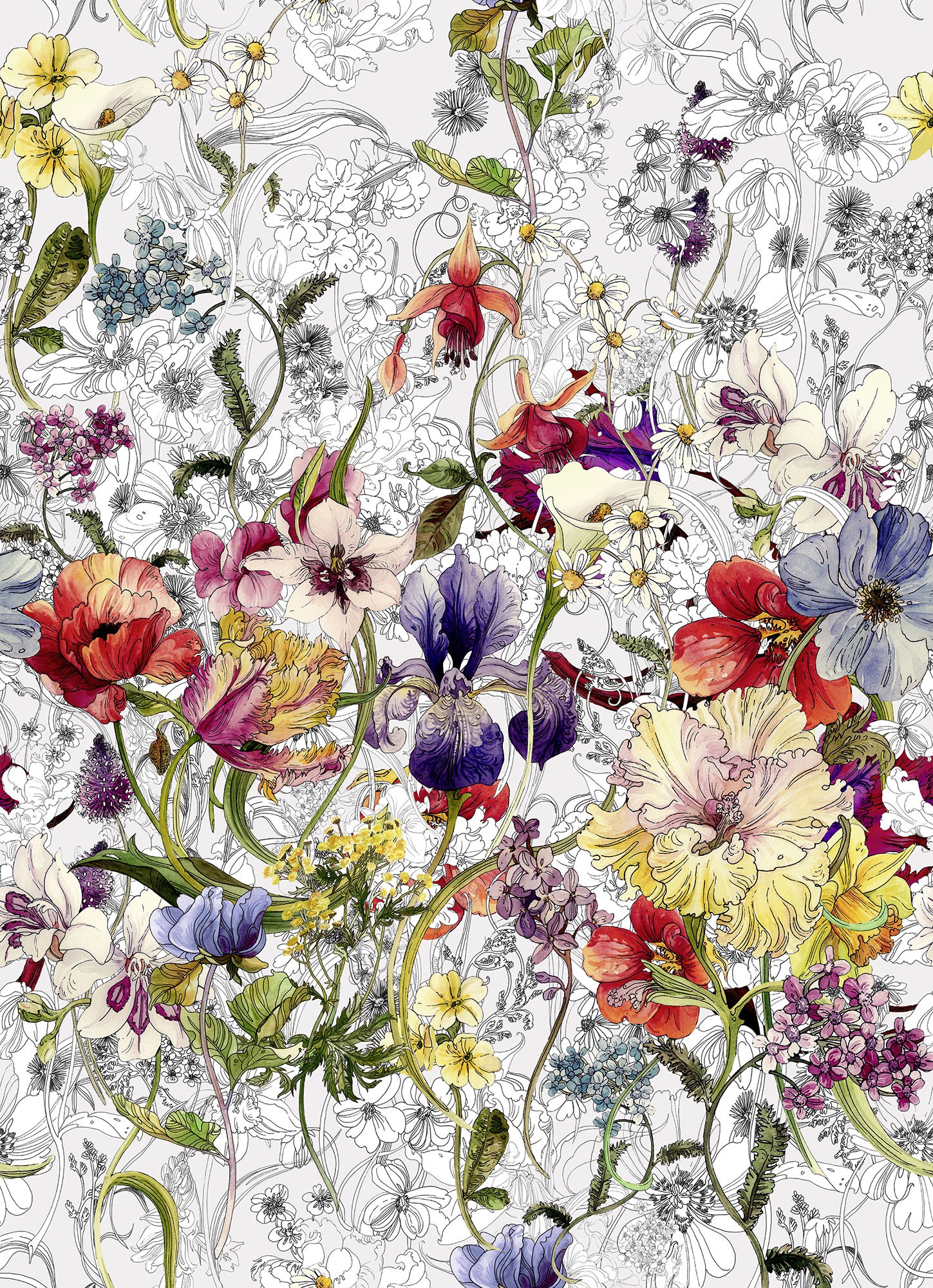 Panoramique Flora - Papier peint Komar