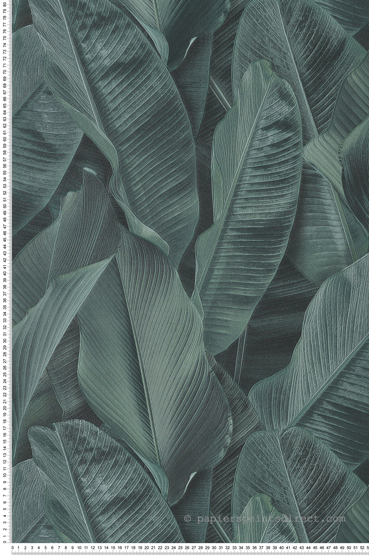 Papier peint Feuille Banana vert emeraude - Folium de Montecolino | Réf. MC-FO17813