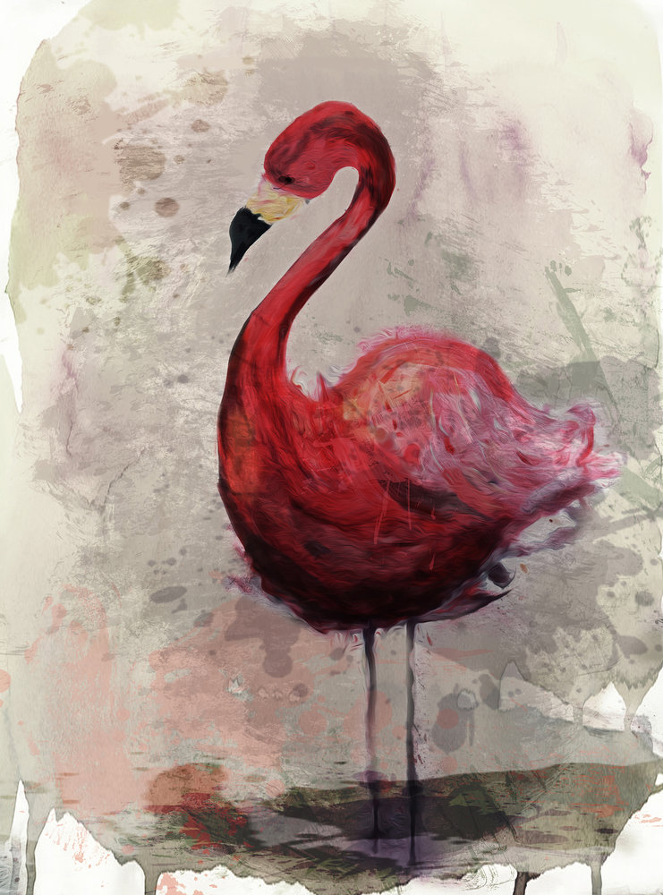 Papier peint panoramique Flamant rose Flamingo - Référence DD120049 - Intissé 200g/m2 - Standard 200 x 270