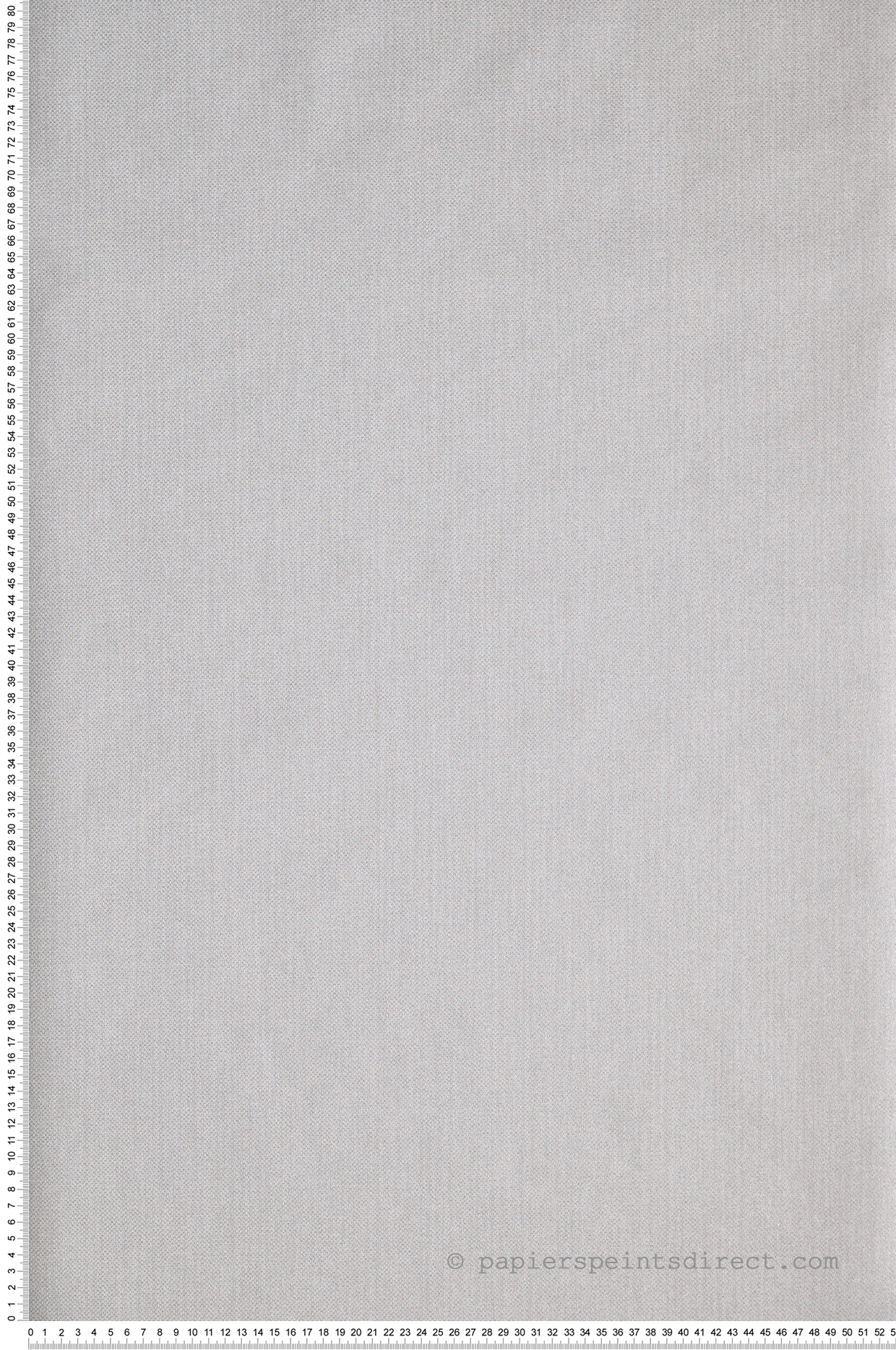 Papier peint Uni Natté Métallisé Gris Argenté - Green Life et Natté de Casélio | Réf. GNL101579090