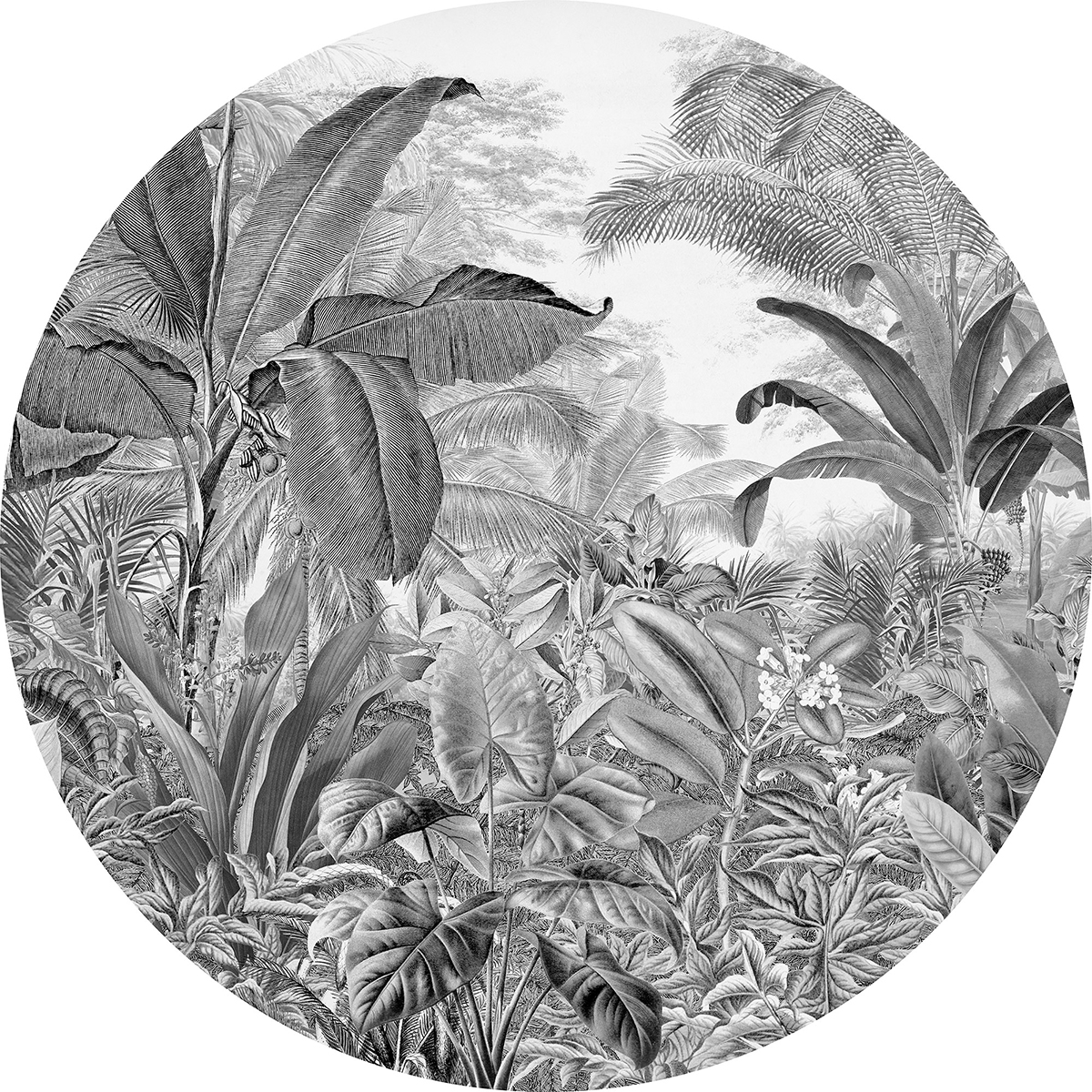 Papier peint adhésif rond Tropical Wild Woods - Papier peint Komar Le Jardin