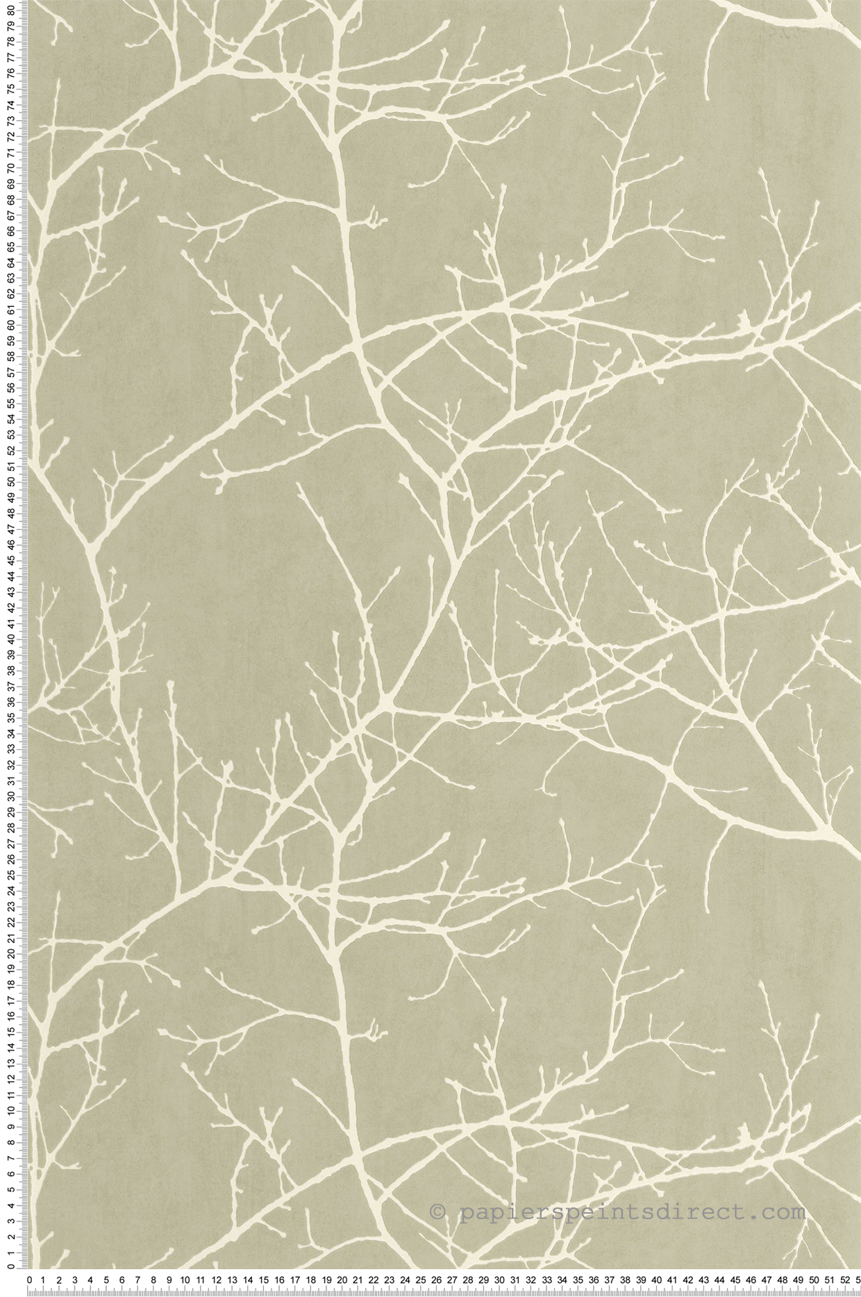 Papier peint Branche Arbre Vancouver vert lichen - Riverside 4 de Casadéco | Réf. RIVI89537200